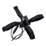 Auto Babyfoon 4,3 inch met camera